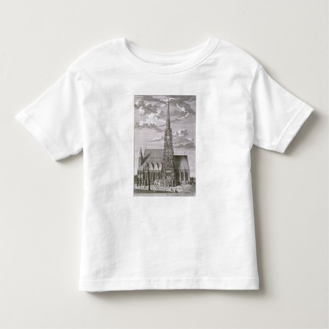 Camiseta Infantil Vista da catedral do St. Stephan (Frente)