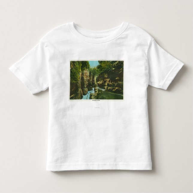 Camiseta Infantil Vista da falha de Ausable (Frente)