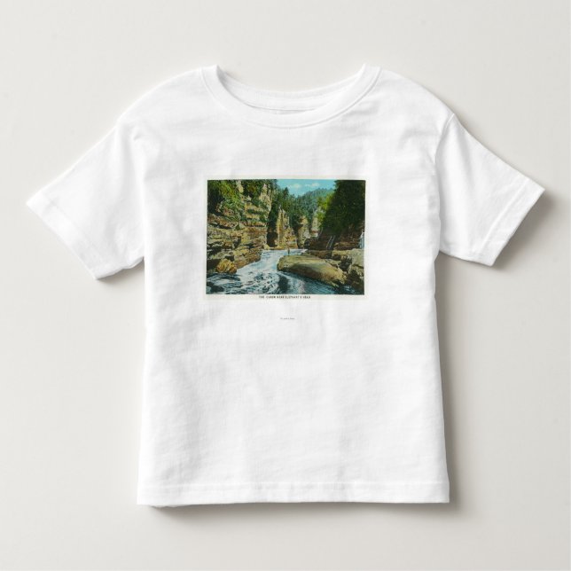 Camiseta Infantil Vista da falha de Ausable perto da cabeça do (Frente)