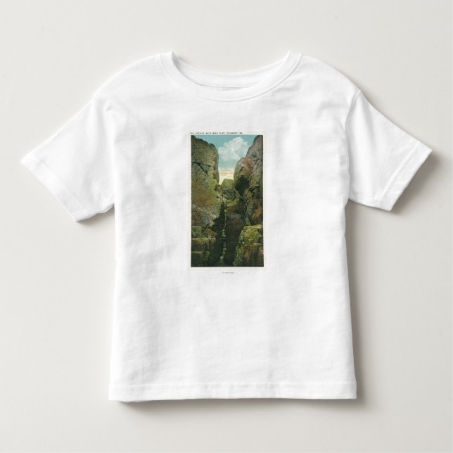 Camiseta Infantil Vista da fenda do penhasco da cabeça calva (Frente)