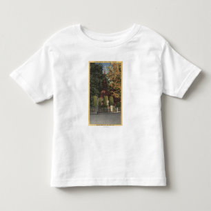 Camiseta Infantil Vista da igreja episcopal de St James