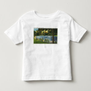 Camiseta Infantil Vista da lagoa comum do sapo de Boston
