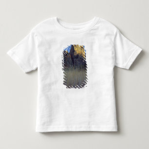 Camiseta Infantil Vista da planície de inundação do rio Virgin, Zion