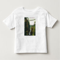 Vista da ponte de suspensão da garganta de Lynn