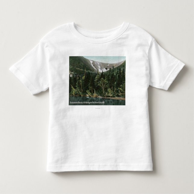 Camiseta Infantil Vista da ravina de Tuckermans, Mt. Washington (Frente)