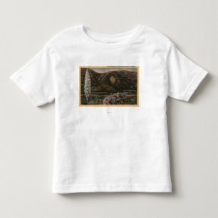 Camiseta Infantil Vista da seta - San Bernardino Mts., CA