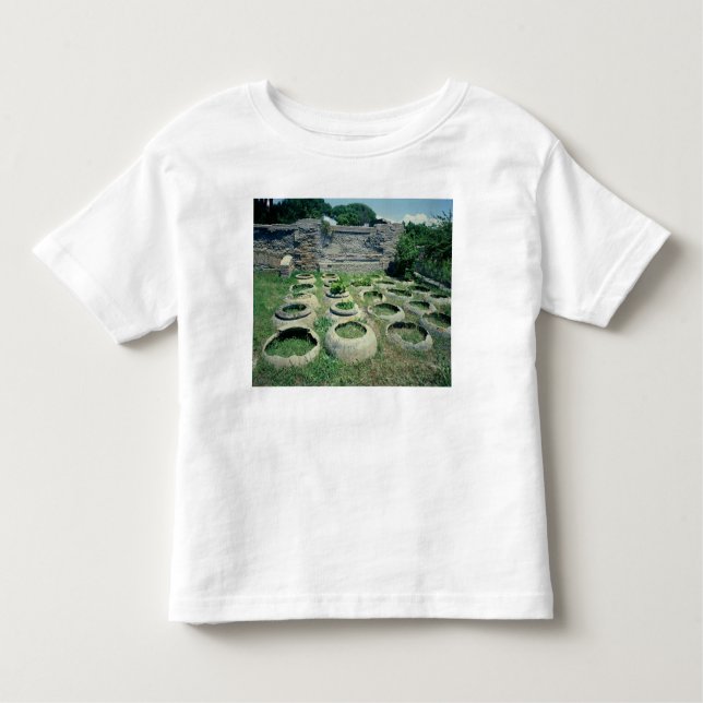 Camiseta Infantil Vista das lojas (Frente)