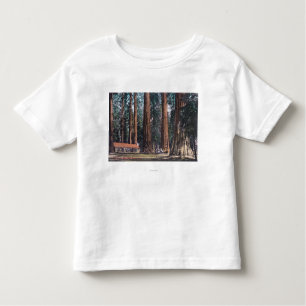 Camiseta Infantil Vista de árvores grandes no bosque de Mariposa