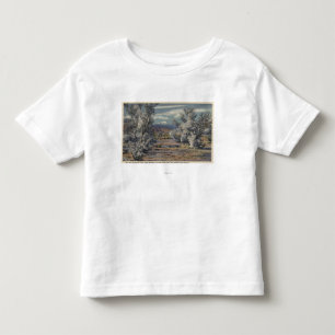 Camiseta Infantil Vista de Mt. San Gorgonio & Palm Springs