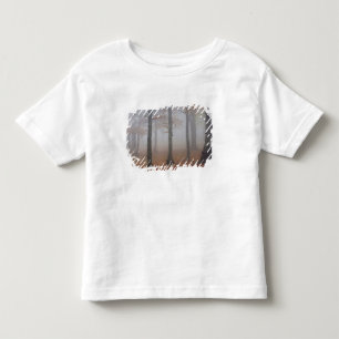 Camiseta Infantil Vista de outono da floresta nebulosa, Avô