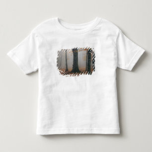 Camiseta Infantil Vista de outono de floresta nebulosa, Grandfather 