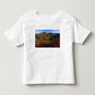 Camiseta Infantil Vista de outono do Linville Gorge muitas vezes cha