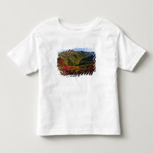 Camiseta Infantil Vista de outono do Linville Gorge muitas vezes cha