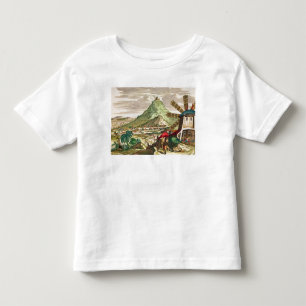 Camiseta Infantil Vista de Potosi em Bolívia