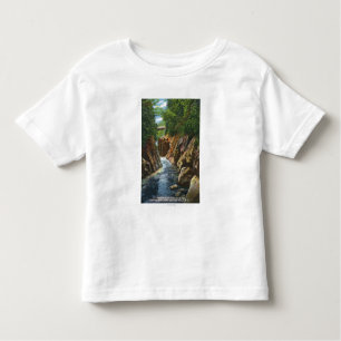 Camiseta Infantil Vista de quedas e de ponte do rio de Ausable