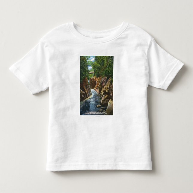 Camiseta Infantil Vista de quedas e de ponte do rio de Ausable (Frente)