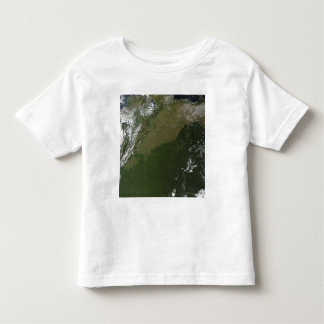 Camiseta Infantil Vista de satélite da Colúmbia Oriental (Frente)