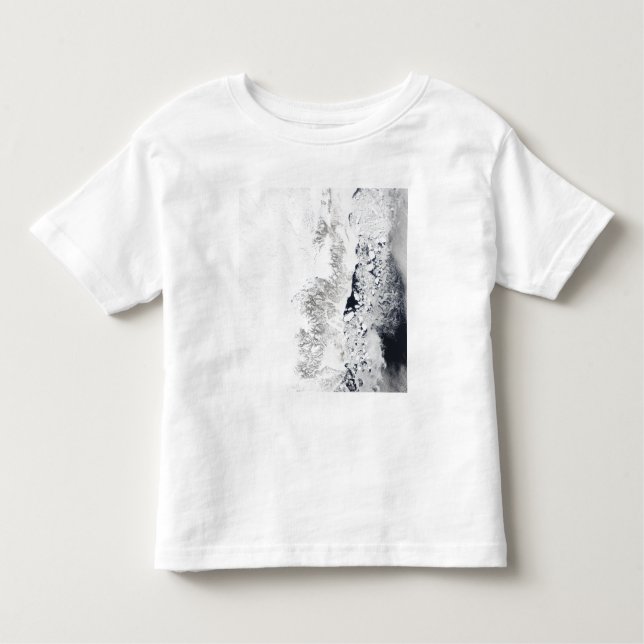 Camiseta Infantil Vista de satélite da costa oriental de Greenlan (Frente)
