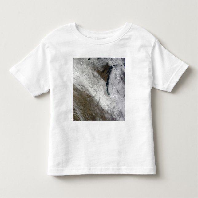 Camiseta Infantil Vista de satélite da neve e do frio (Frente)