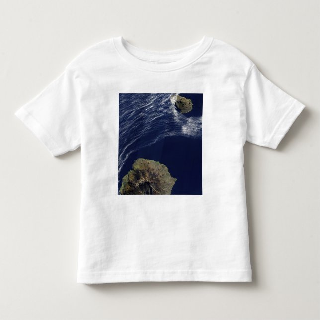 Camiseta Infantil Vista de satélite das Ilhas Príncipe Edward (Frente)