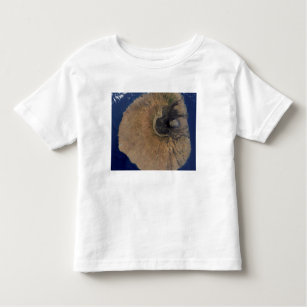 Camiseta Infantil Vista de satélite do Monte Fogo