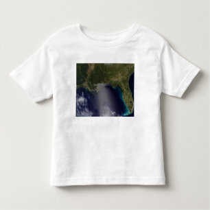 Camiseta Infantil Vista de satélite do Sudeste dos Estados Unidos 2