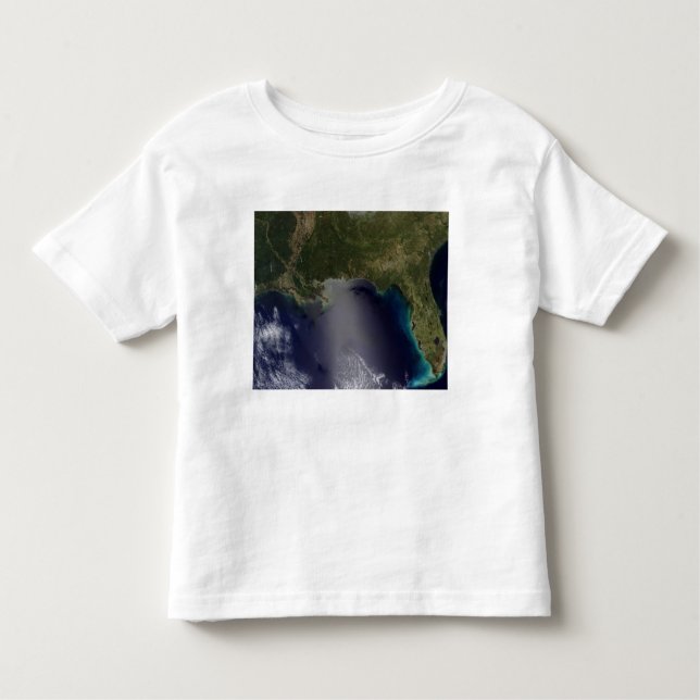 Camiseta Infantil Vista de satélite do Sudeste dos Estados Unidos 2 (Frente)