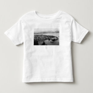 Camiseta Infantil Vista de Seward, Alaska da fotografia do ar