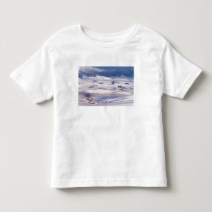 Camiseta Infantil Vista de Steptoe Butte de colinas onduladas cobert