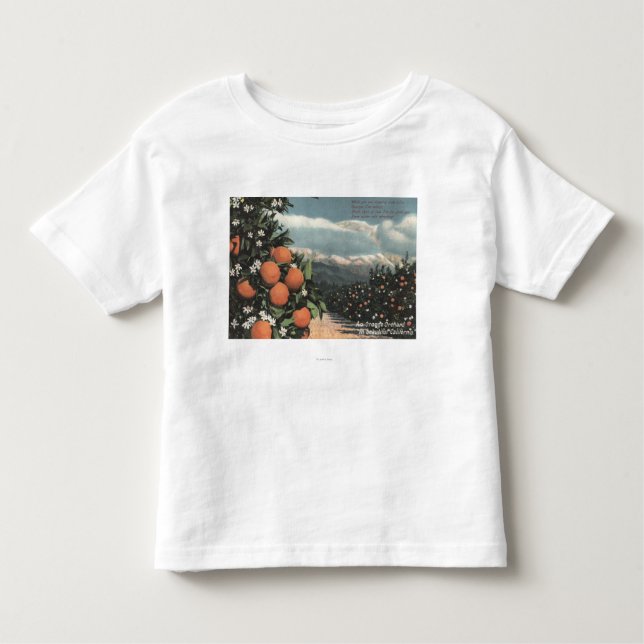 Camiseta Infantil Vista de um pomar alaranjado com montanhas (Frente)