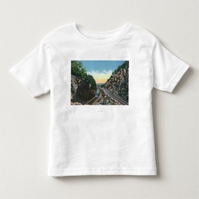 Camiseta Infantil Vista de um trem ao lado da estrada (Frente)