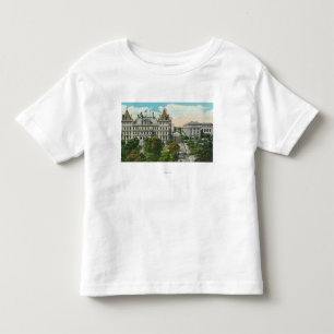 Camiseta Infantil Vista do Capitólio do estado & educacional