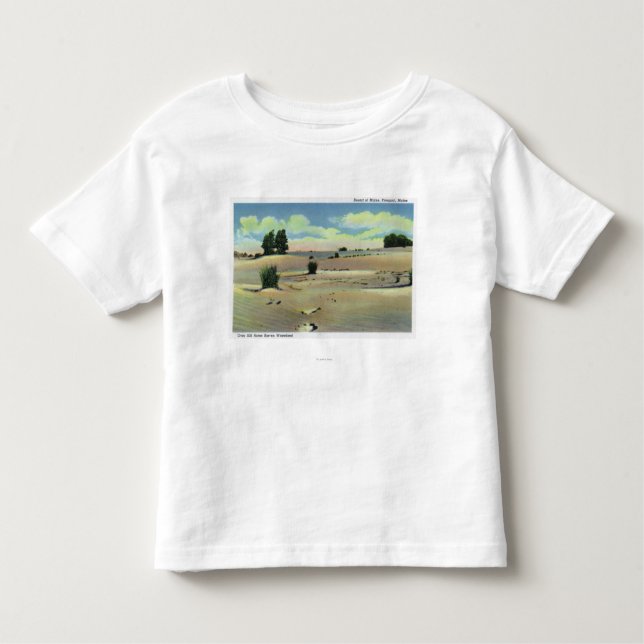 Camiseta Infantil Vista do deserto de Maine (Frente)