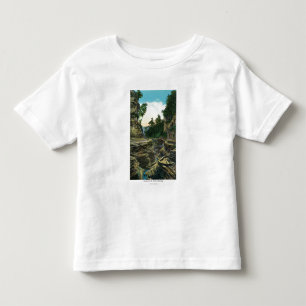 Camiseta Infantil Vista do desfiladeiro do sul da entrada