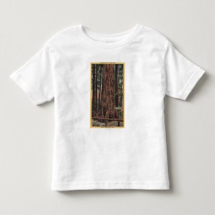 Camiseta Infantil Vista do "do disjuntor pescoço" no parque grande
