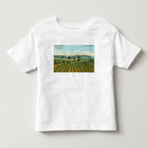 Camiseta Infantil Vista do Giersberg VineyardNapa, CA