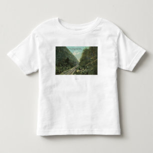 Camiseta Infantil Vista do Grand Canyon e do cravo-da-índia de