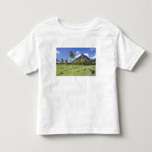 Camiseta Infantil vista do Gros Piton ao longo da trilha histórica e