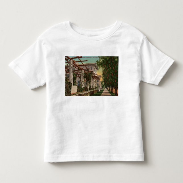 Camiseta Infantil Vista do hotel Maryland & do Pergola (Frente)