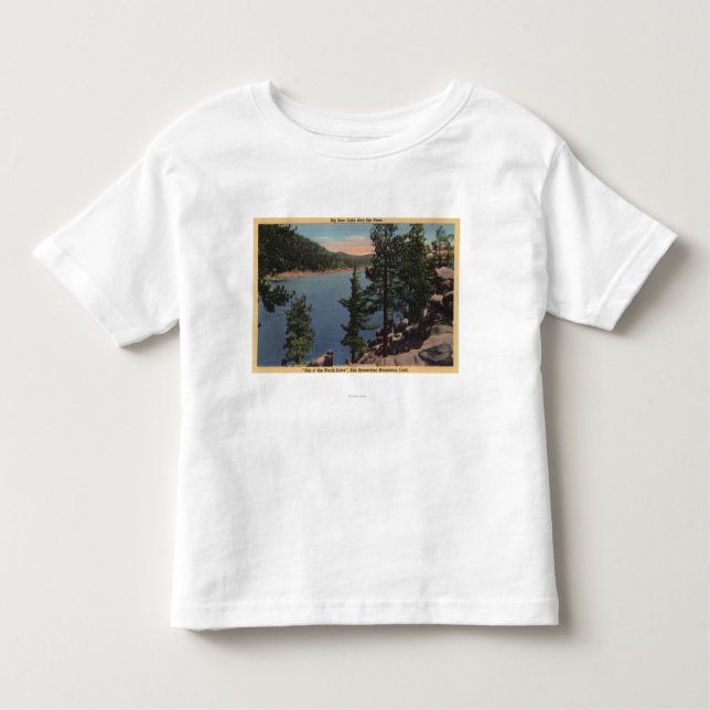 Camiseta Infantil Vista do lago através dos pinhos (Frente)