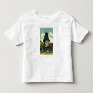 Camiseta Infantil Vista do monumento dos soldados