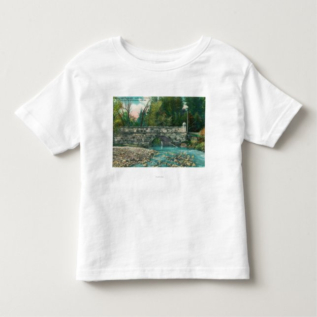 Camiseta Infantil Vista do Napa County BridgeNapa, CA (Frente)