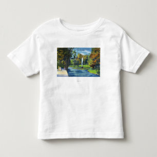 Camiseta Infantil Vista do parque do geyser