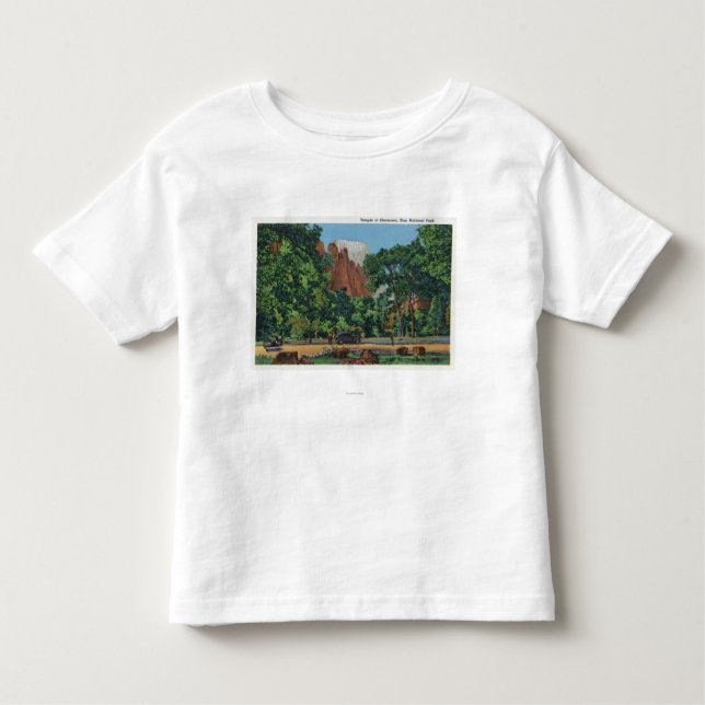 Camiseta Infantil Vista do templo de Sinawava (Frente)
