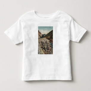 Camiseta Infantil Vista do trem de Canon da caixa