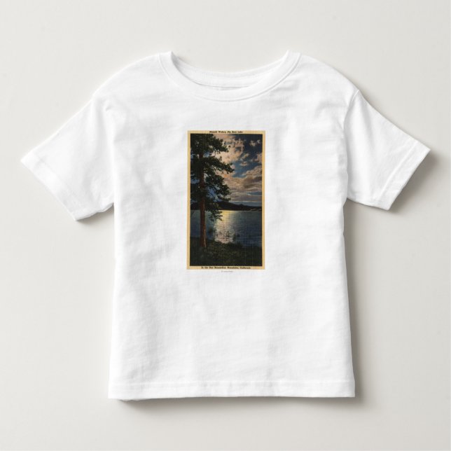 Camiseta Infantil Vista enluarada do lago (Frente)
