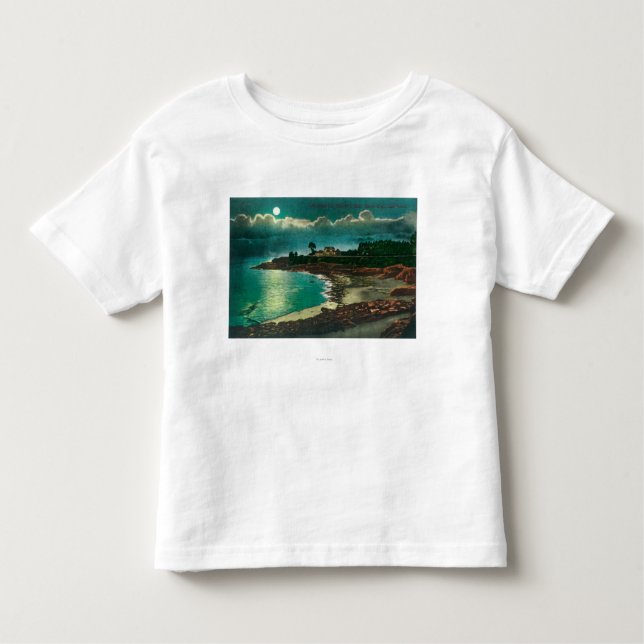 Camiseta Infantil Vista enluarada do Vue de l'EauSanta Cruz, CA (Frente)