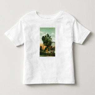 Camiseta Infantil Vista exterior da palma do au do hotel