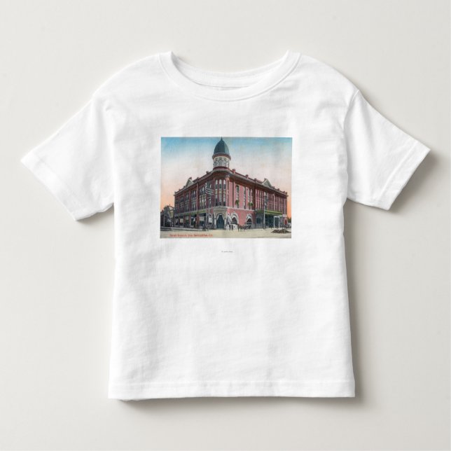 Camiseta Infantil Vista exterior do hotel Stewart (Frente)