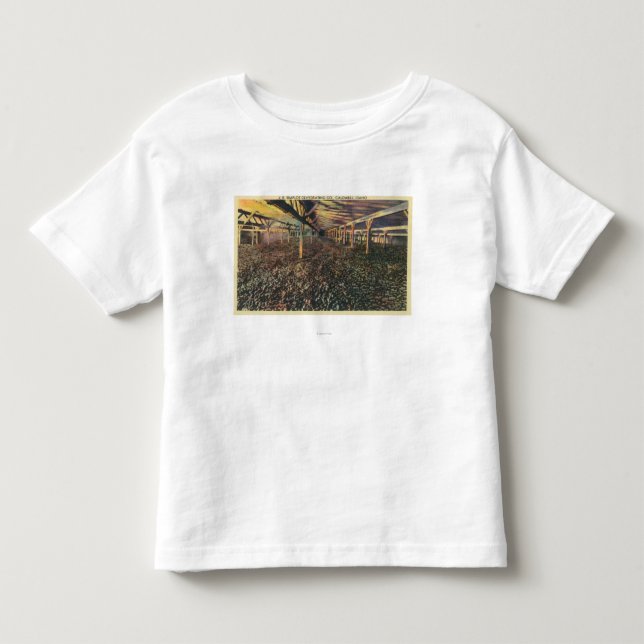 Camiseta Infantil Vista interior do JÚNIOR Simplot que desidrata o (Frente)